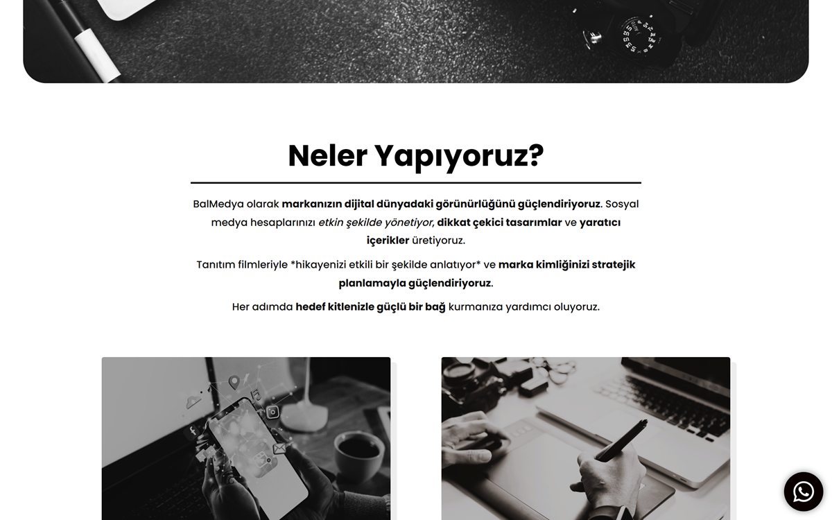 Bal Medya — ekran 1