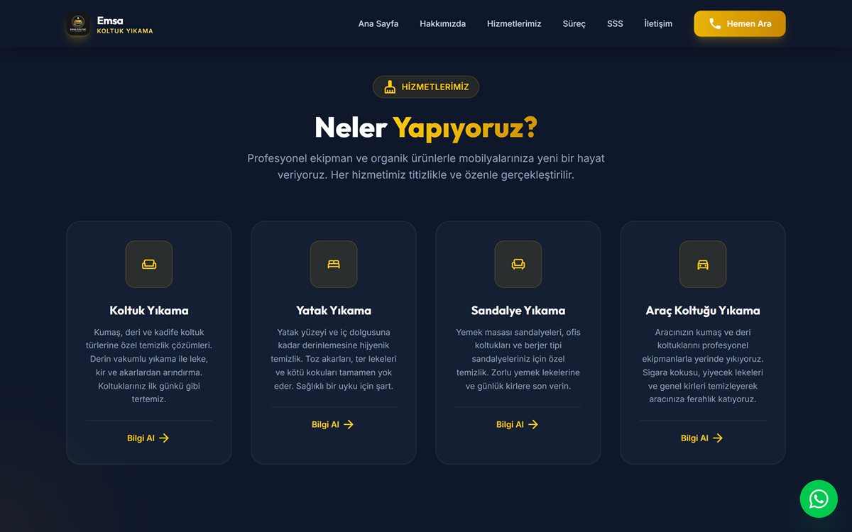 Emsa Koltuk Yıkama — ekran 1