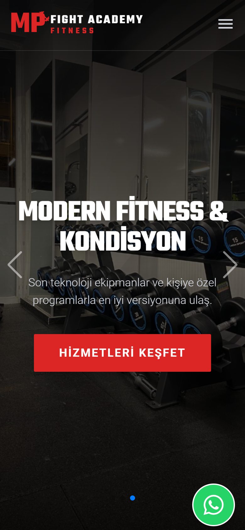 MP Fight Academy — mobile view